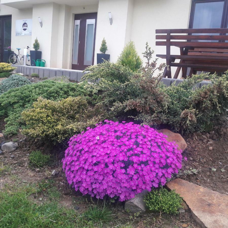 Apartamenty Przy Trakcie Cesarskim Wegierska Gorka Kültér fotó
